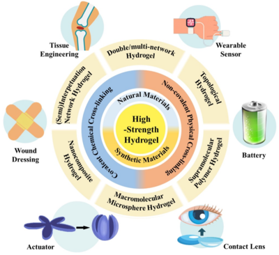 西工大黃河源、王文智/西安交大趙鑫 Nano Res.:高強度水凝膠的制備策略、增強機制與未來挑戰