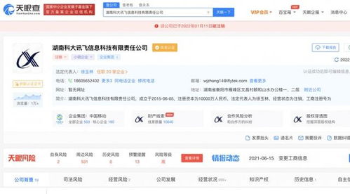 湖南科大訊飛信息科技有限責(zé)任公司注銷，軟件開發(fā)領(lǐng)域引發(fā)行業(yè)關(guān)注